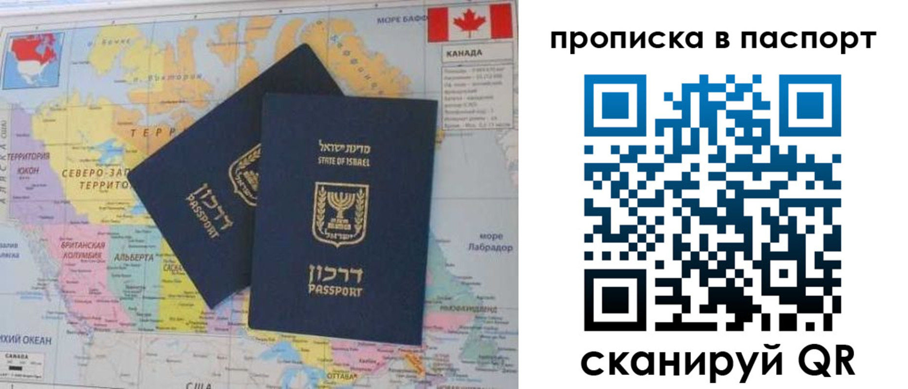 временная регистрация гарантия в Коле